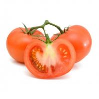 TOMATO 