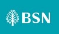 BSN Solar Panel Financing Malaysia | MyRinggit-i, Solar ROI & Installer Comparison