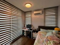 Zebra Blind