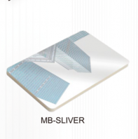 Mirror Board - Silver