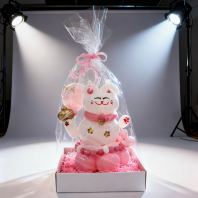 Lucky Cat Gift Set  �вƸ�è