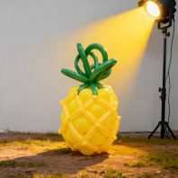 Golden Pineapple  �ƽ�����
