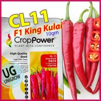 (10gm) +-1500 Biji F1 King Kulai CL11 Cili Benih Crop Power ���߹�����������