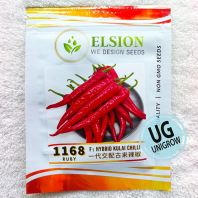 1168 F1 Chili Kulai Ruby (10gm) һ�������������