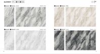 Alchemy Marble Look Porcelain Tile Series 60x120cm