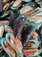 Sejuk Beku Kupang Hijau