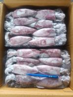 Sejuk Beku Sotong Loligo