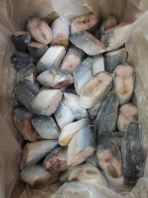 Segar Sejuk Beku Ikan Tenggiri Potong 80/110