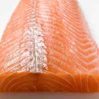 Salmon Fillet