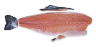 Salmon Fillet