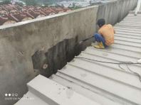 recovery-backup-restoration-data-storage-security-concept