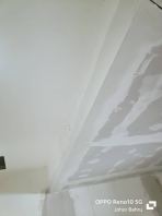 Plaster Ceiling