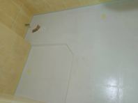 Waterproofing Bathroom