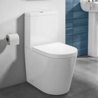 Ceramic Water Closet