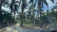 Saleng, Kulai, Johor Agriculture Land zoning Industry For Sale