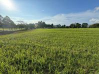 Leisure Farm Corner Lot Bungalow Land For Sale