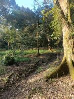 Jalan Pontian Agricultural Land For Sale