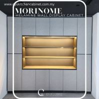 Modern Built-In Wall Display Cabinet