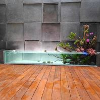 Indoor Pond