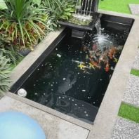 Koi Pond
