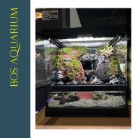 Bos Aquarium Custom Paludarium Waterfall Complete with Tank & Light 30 x 30 x 30cm