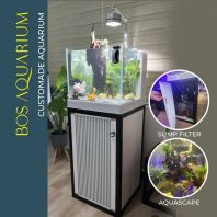 Complete Set Aquarium Feng Shui Tank 15L with Aquascape