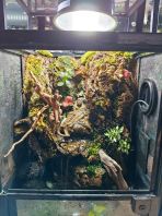 Custom Build Terrarium