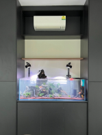 Custom Made Built-in Aquarium