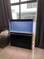 SOBO Z-Series 4ft Aquarium (Top Filter + Upgraded Canister)