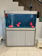 SOBO Z-Series 3ft Aquarium (Top Filter + Upgraded Canister)