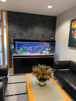 SOBO F-Series 6ft Aquarium (Upgraded SD Professional Wet & Dry Filtration System)