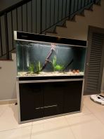 SOBO F-Series 4ft Aquarium (Upgraded SD Professional Wet & Dry Filtration System)
