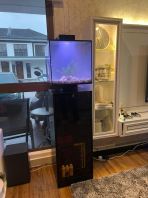 Modern Futuristic Aquarium (With Simple Aquascape)