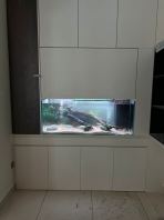 Custom Made 4ft Built-in Aquarium
