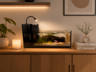 Desktop Stream Tank Aquarium 10L with Side Sumptank