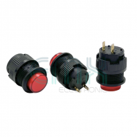 TS-502 / 2 2PIN PUSH ON   OFF SWITCH