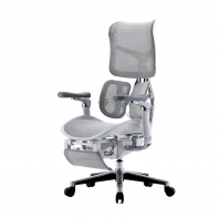 Ergonomic Chair