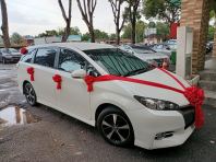 Satin Cloth Wedding Car