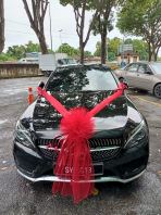 Single Netting Wedding Car