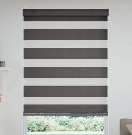 Zebra Blinds