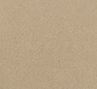 CW0005 Comet Taupe