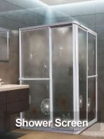 Shower Screen 1