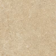 Terra Arden DH-M33126