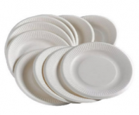 Paper Plates