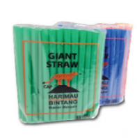 Giant Polypropylene (PP) Plastic Straw