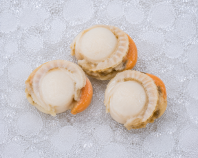 Shellfish - Boiled Hotate