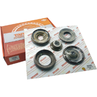 Piston Set Piston Set