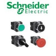 Schneider Command Switches