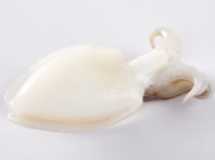 Cuttlefish Whole Cleaned