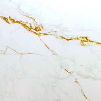 SP828 Glacier Gold   M